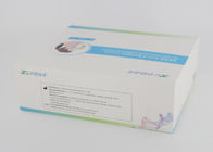 Neus50pcs COVID 19 Antigeen Snelle Test Kit High Accuracy